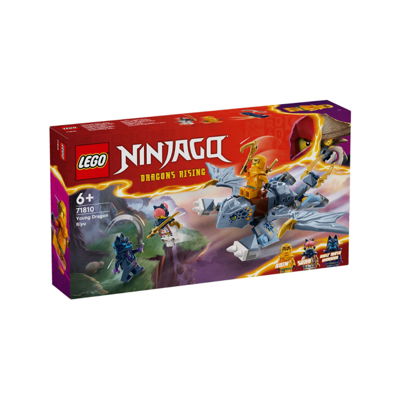 LEGO Ninjago Младият дракон Риу 71810