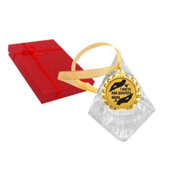 Златен медал 1 място Най-добрата мама 