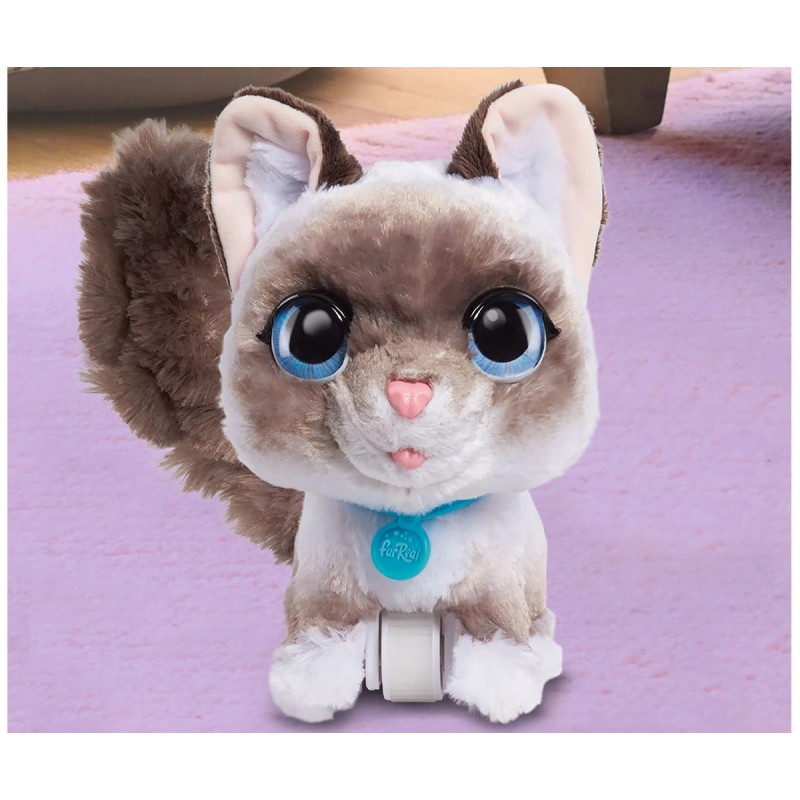 Интерактивно коте с каишка