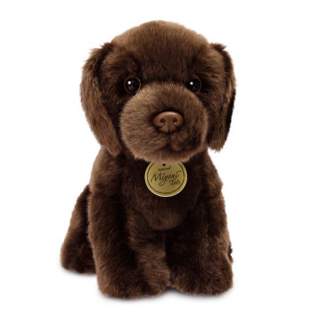 Плюшено куче - Кафяв лабрадор