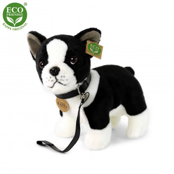 Плюшено куче Бостънски териер с каишка, стоящо, 23 см