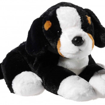 Плюшено бернско планинско куче, 38 см